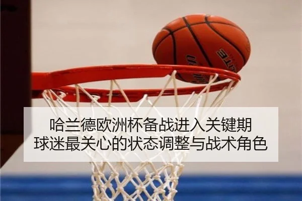 哈兰德欧洲杯备战进入关键期 球迷最关心的状态调整与战术角色